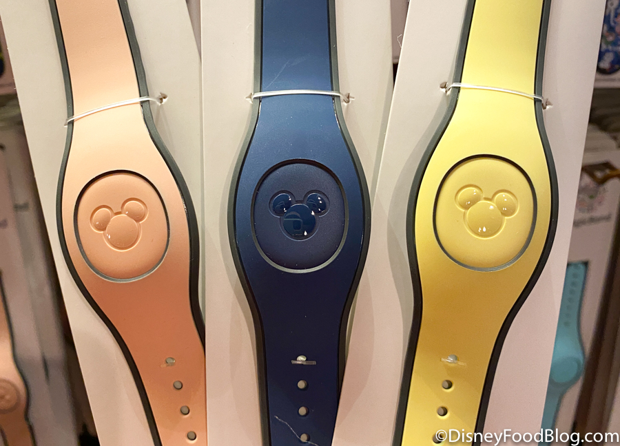 MagicBands at Walt Disney World. 